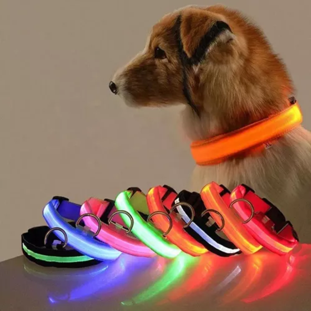 Collar Led Resistente para Mascotas  ** Recargable**